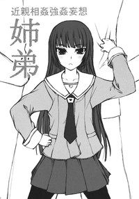 第21頁圖