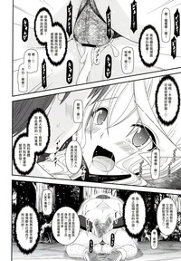 第33頁圖
