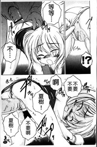 第101頁圖
