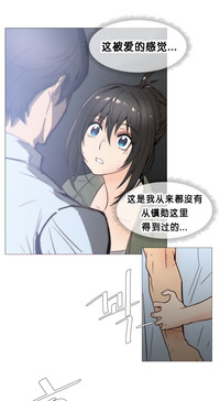 第509頁圖