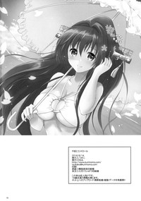 第17页图