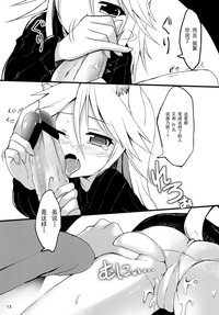 第13页图