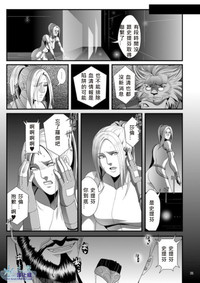 第33页图